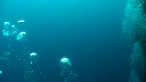 1061_Air bubbles from scuba divers drifting to the surface