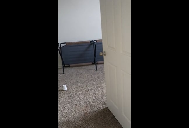 1 bedroom 1 bathroom  Main Photo