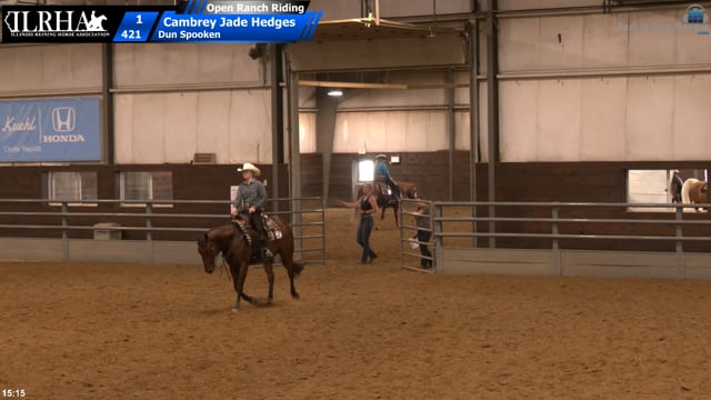 #421 Cambrey Jade Hedges