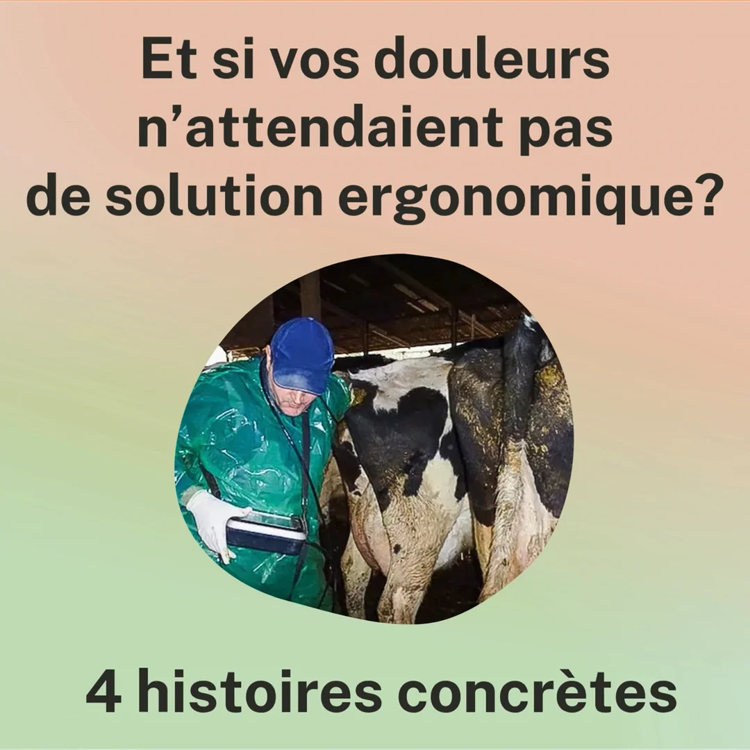 4 histoires