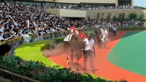 動画サムネイル