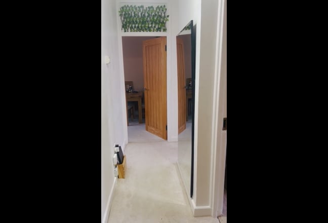 Furnished double room SE1  Main Photo