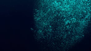 1060_Mystic air bubbles in the dark ocean
