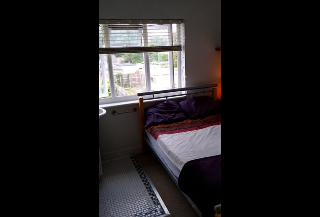 Sunny ensuite room in large comfortable house Main Photo