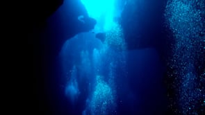 0856_Air bubbles rising slowly at underwater rock formation