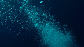 0803_long streams of air bubbles rising to surface in dark mystic ocean