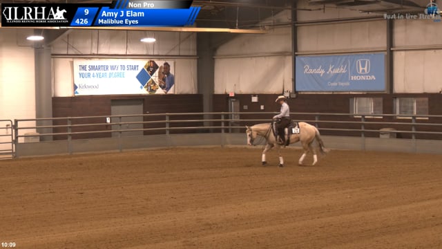 #426 Amy J Elam