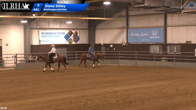#441 Diane Sibley