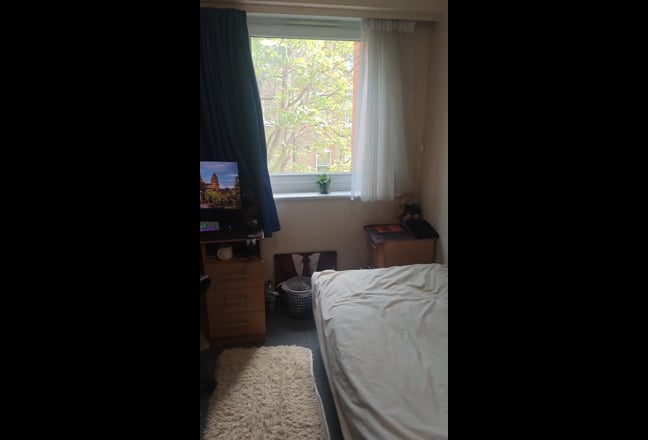 Video 1: 