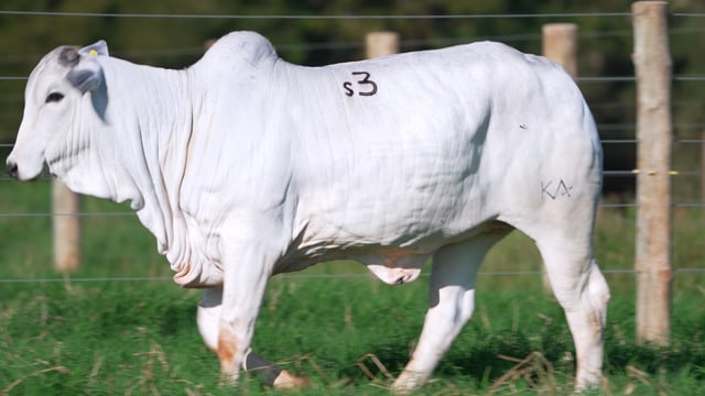Lote S03