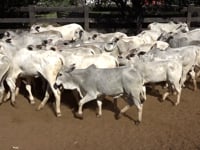 Geral Lotes 07 e 08
