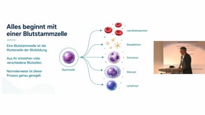 02 Wie funktioniert eigentlich …? Die Entstehung einer Leukämie