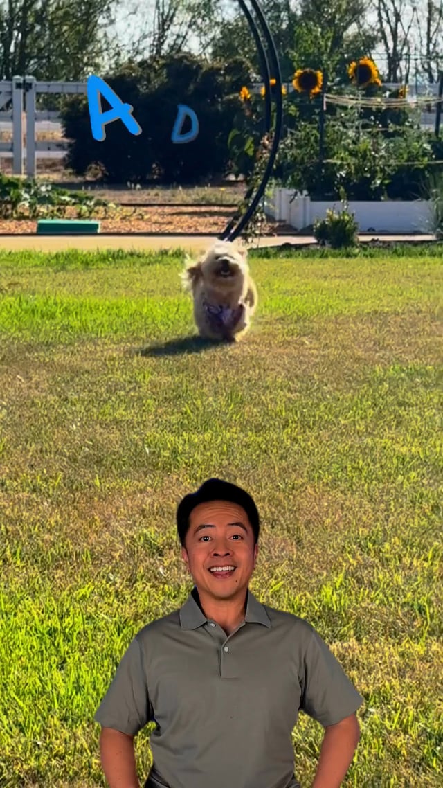 My Perfect Pet