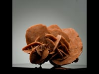 Astro West - Mexican Desert Rose Selenite AWDES551 Video