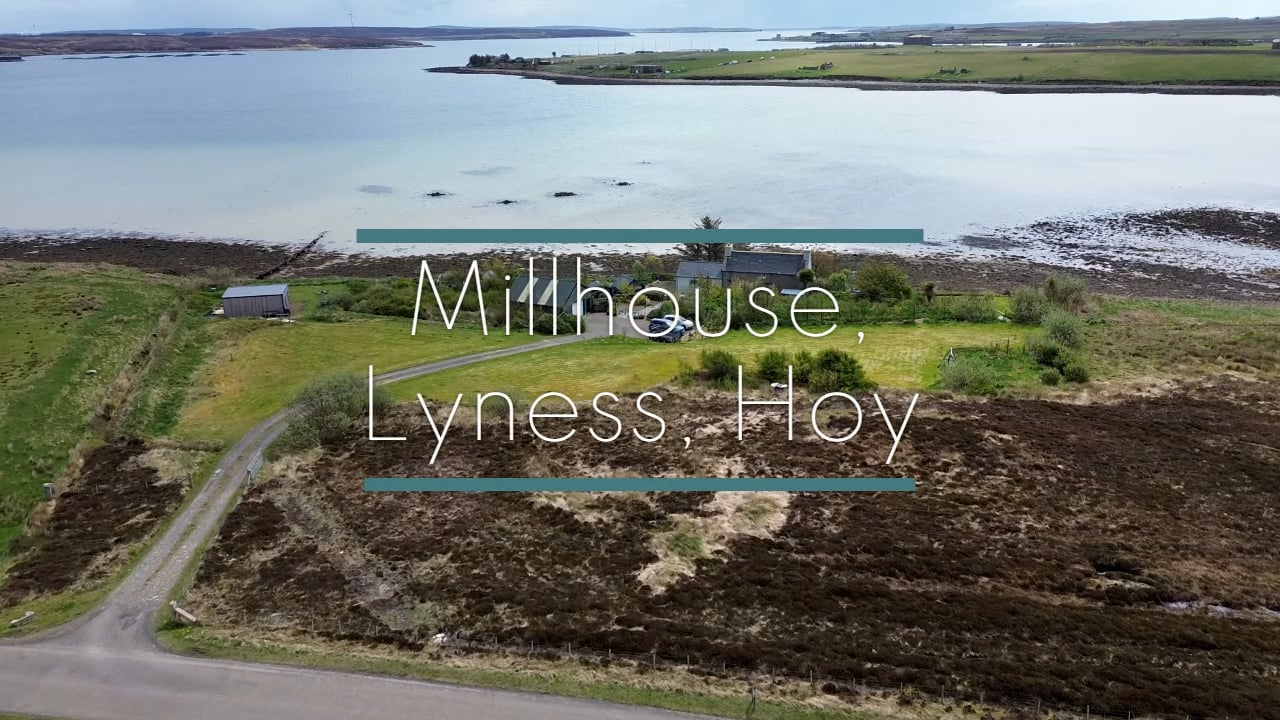Millhouse - new