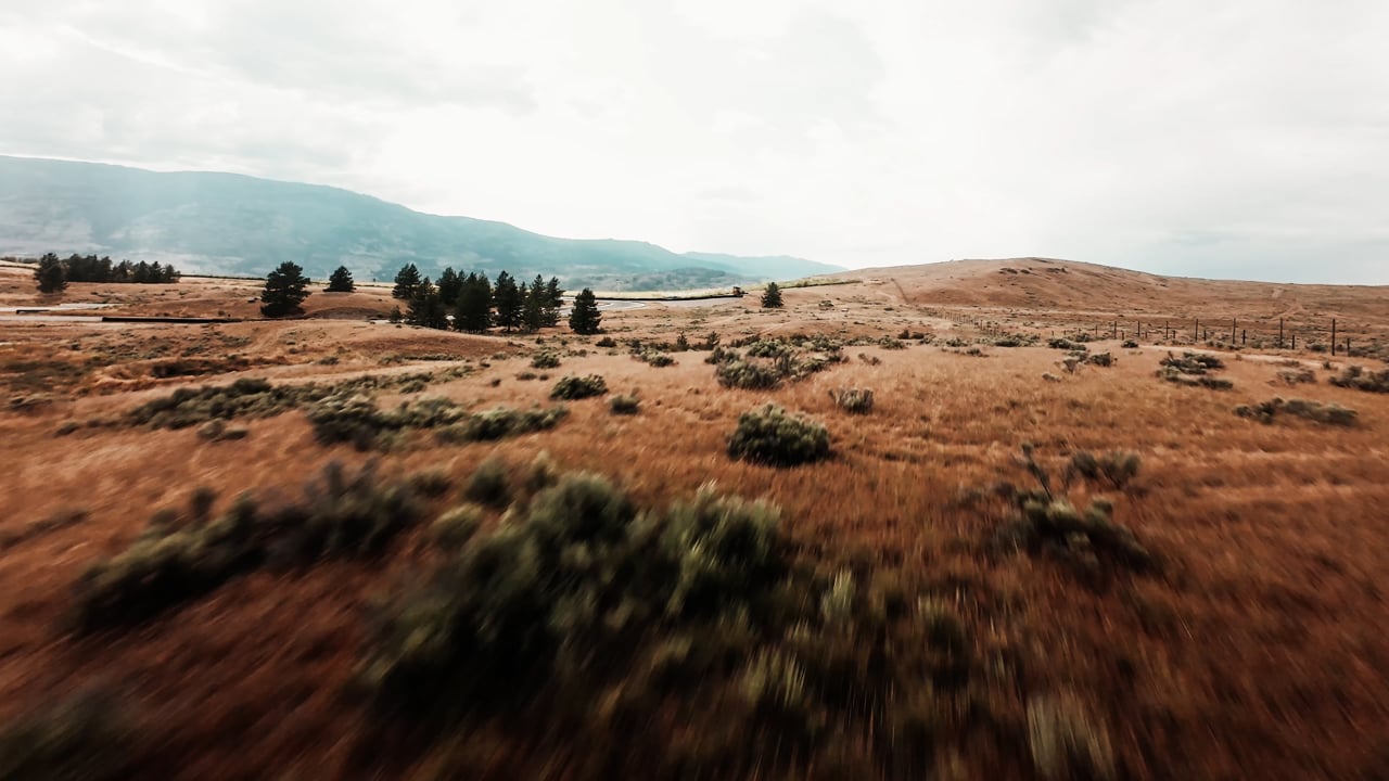 Area 27 lifestyle video