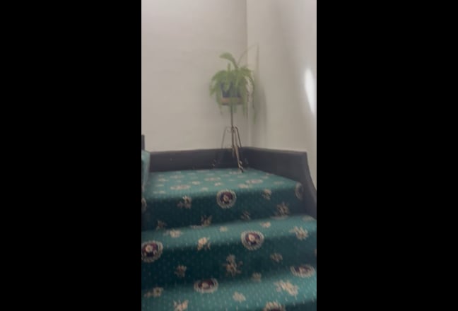 Video 1: 