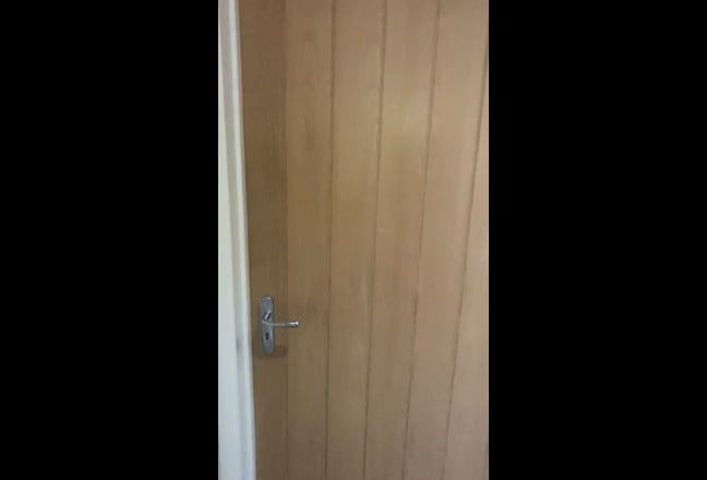 Video 1: external