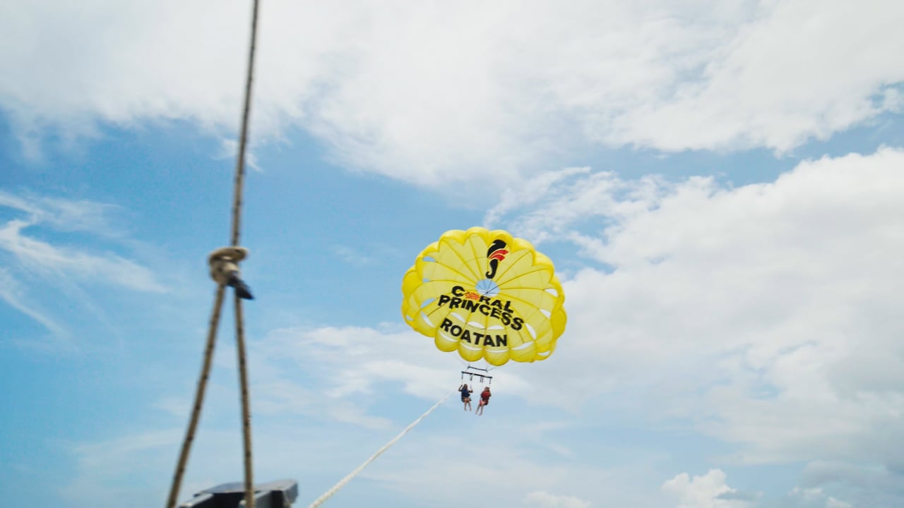 Roatan Activities