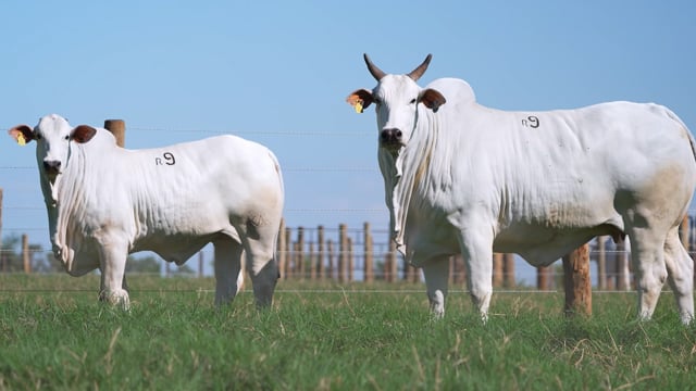 Lote R09