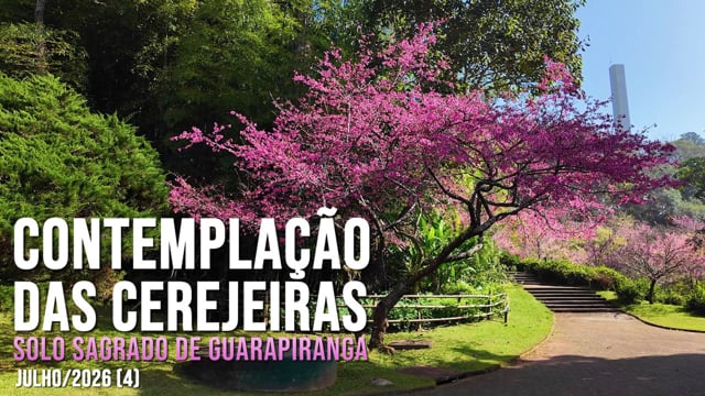 Capa do vídeo do “Contemplação (4) das Cerejeiras no Solo Sagrado de Guarapiranga - Julho / 2026”.