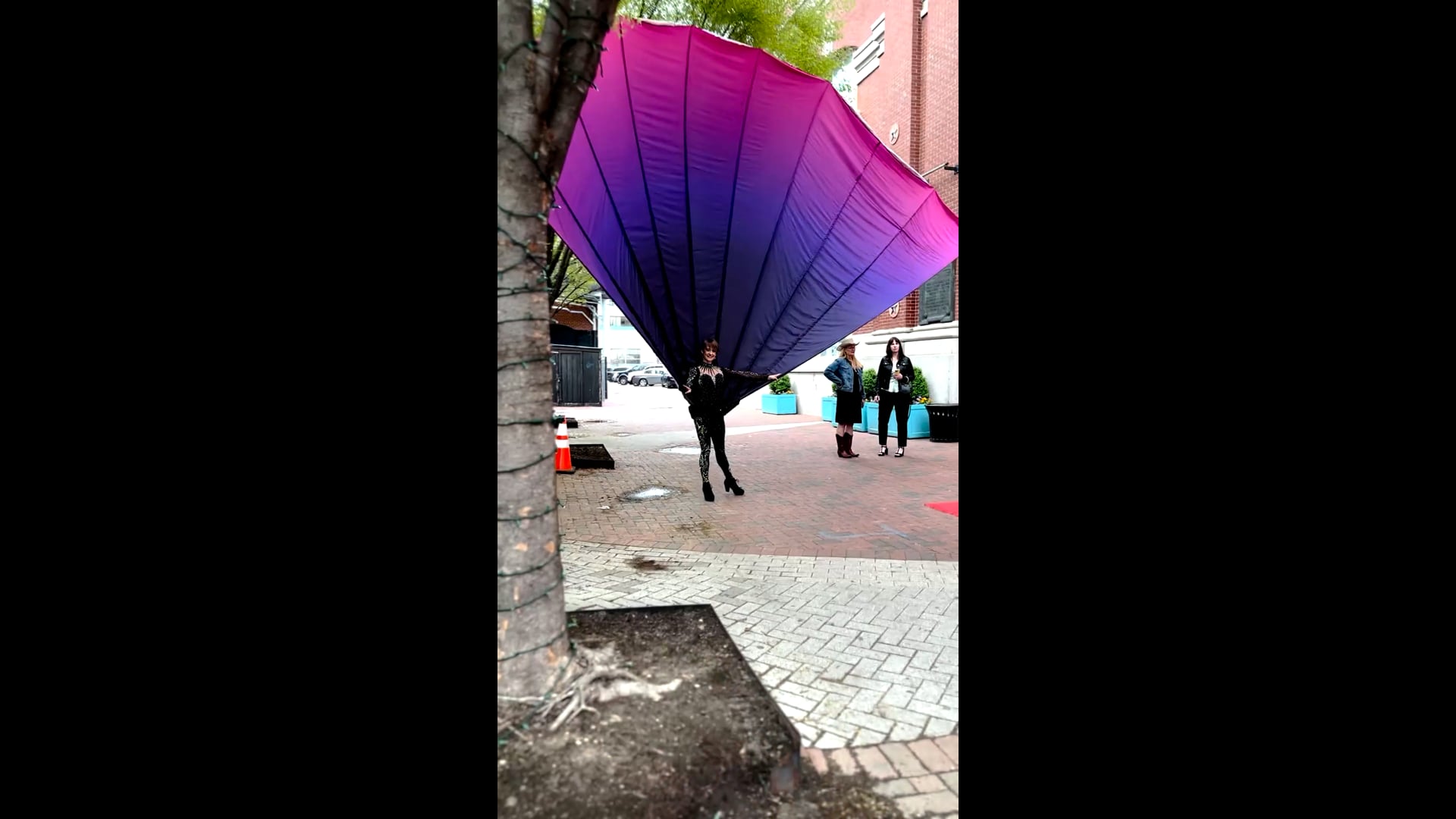 Promotional video thumbnail 2 for Cirque deLuxe