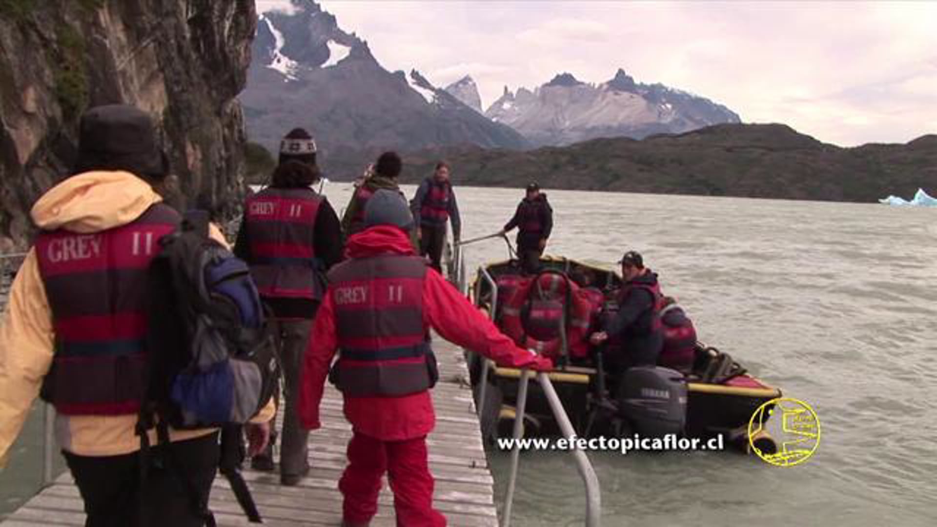 Serie Efecto Picaflor