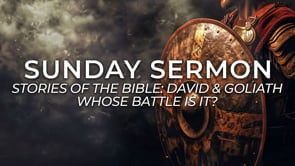 Related Embedded Video Item Thumbnail