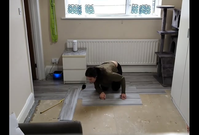 Vet + cats looking for a single or double room Main Photo