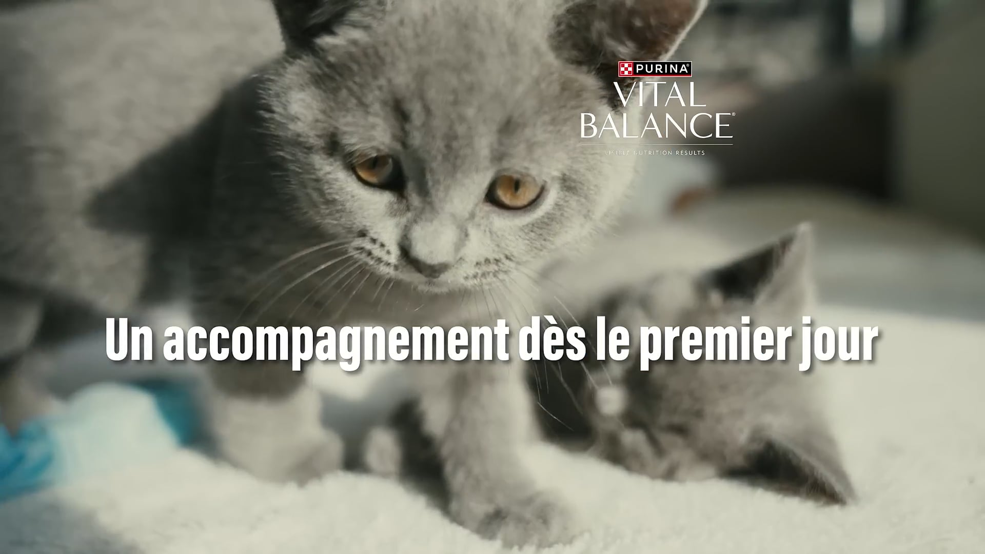 Vidéo Pub PURINA VITAL BALANCE® 