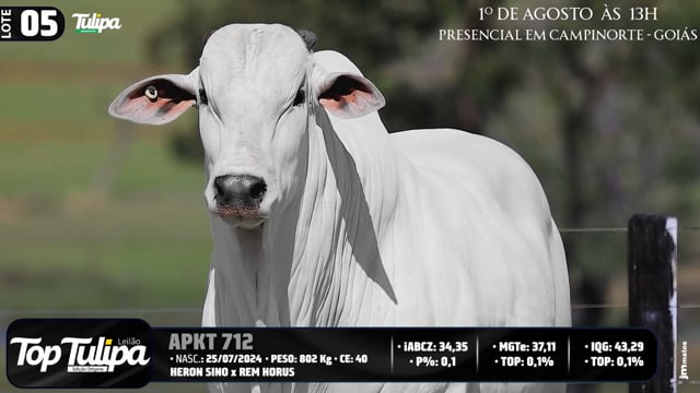 Lote 05
