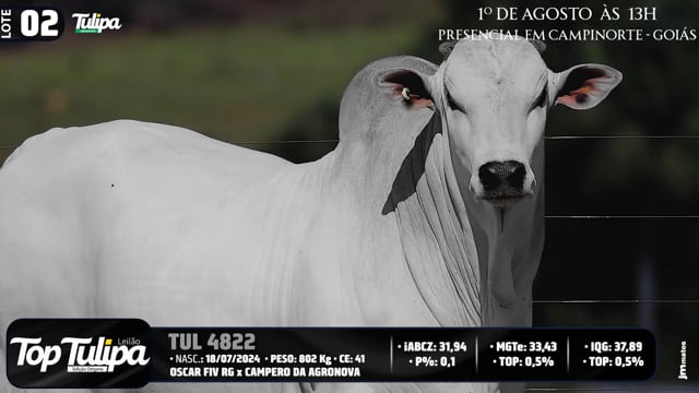 Lote 02