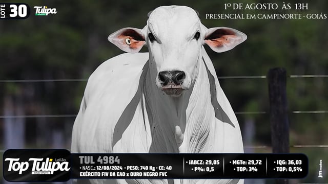 Lote 30