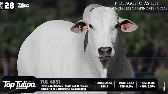 Lote 28