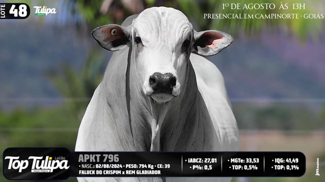 Lote 48