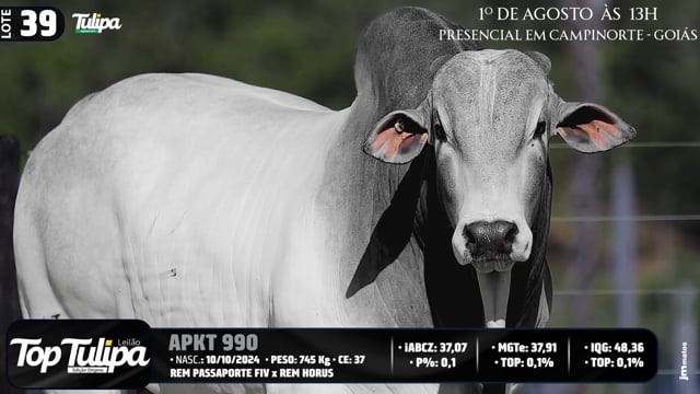 Lote 39