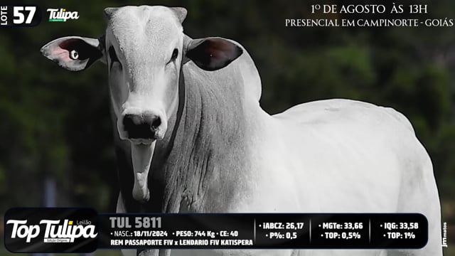 Lote 57