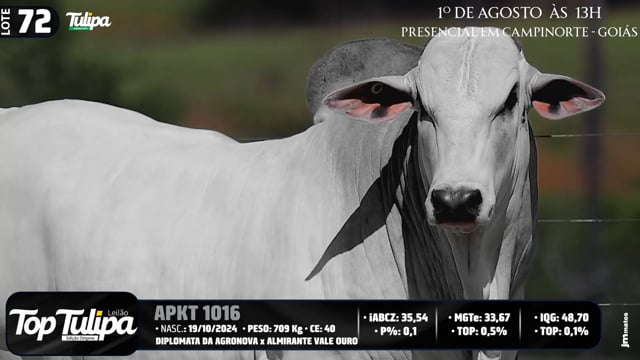 Lote 72