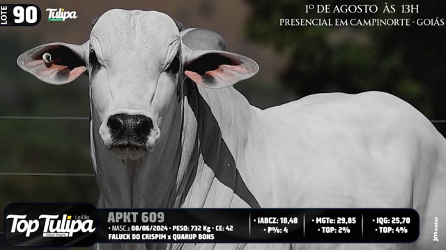 Lote 90