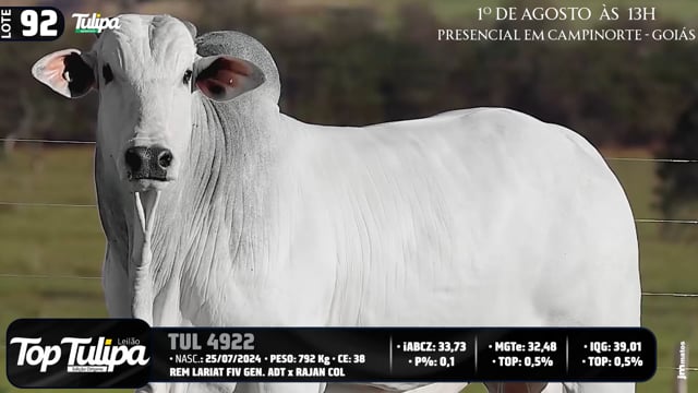Lote 92