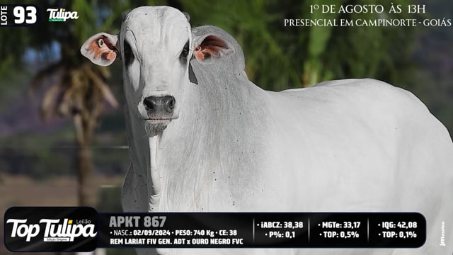 Lote 93