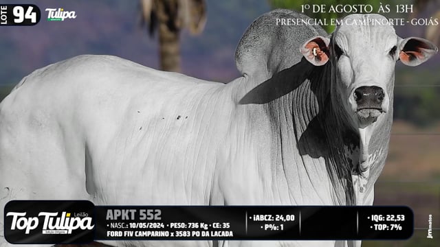 Lote 94