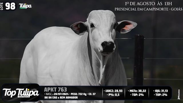 Lote 98