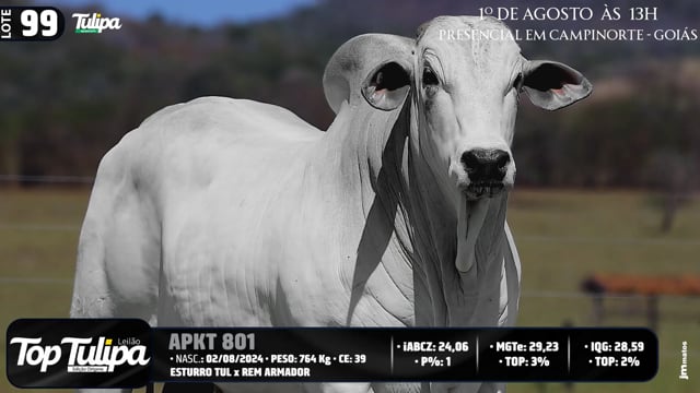 Lote 99