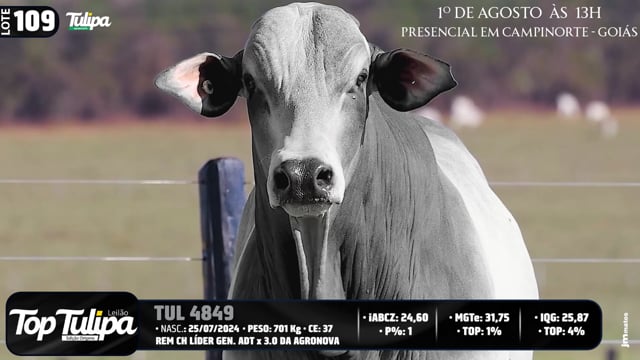Lote 109