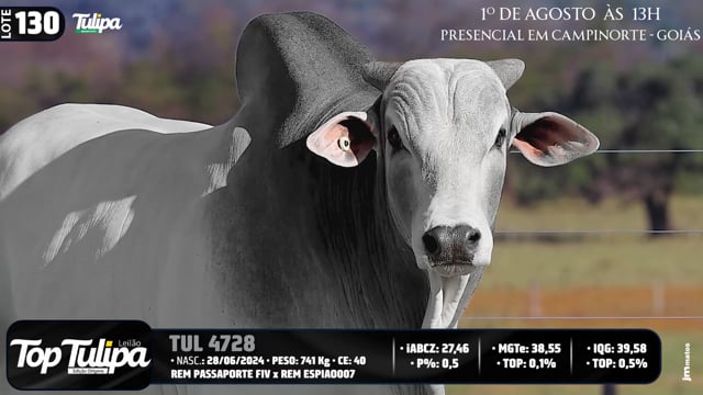 Lote 130