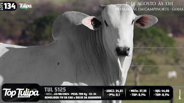 Lote 134