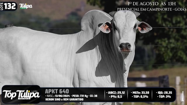 Lote 132