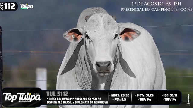 Lote 112
