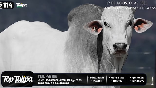 Lote 114